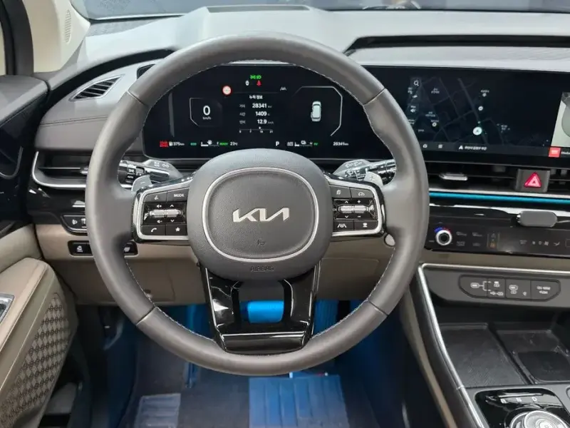 2024 Kia Carnival с пробегом 28 341 км