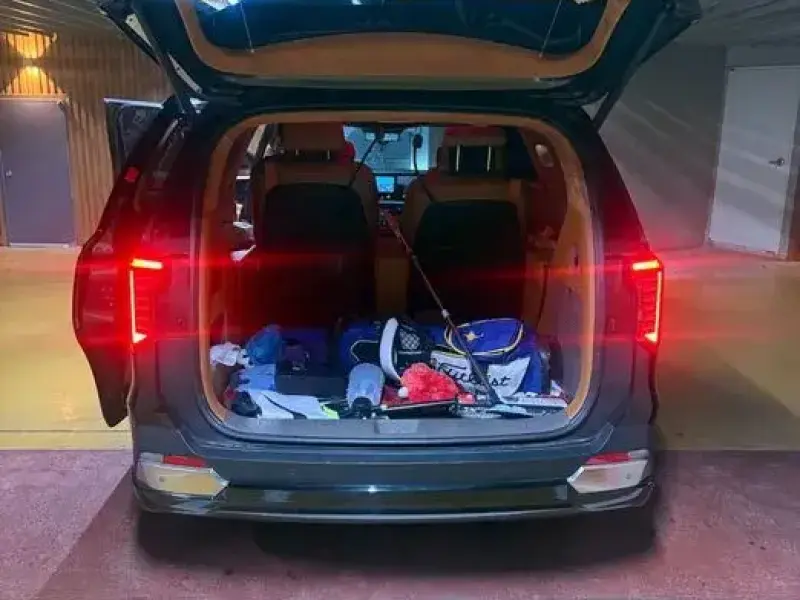 2024 Kia Carnival с пробегом 15 500 км