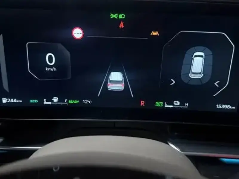 2024 Kia Carnival с пробегом 15 500 км