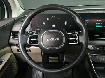 2024 Kia Carnival с пробегом 38 382 км