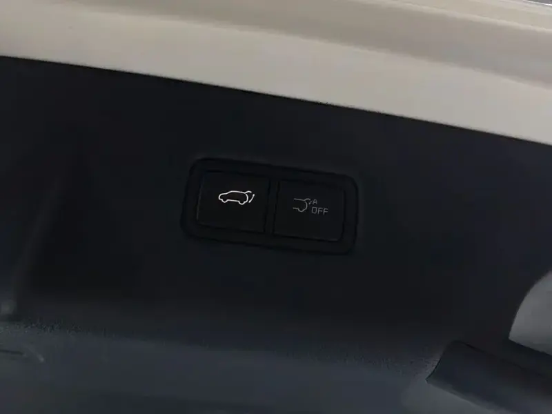 2024 Kia Carnival с пробегом 33 316 км