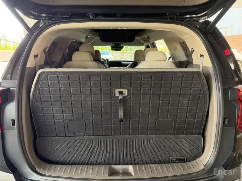 2024 Kia Carnival с пробегом 25 000 км