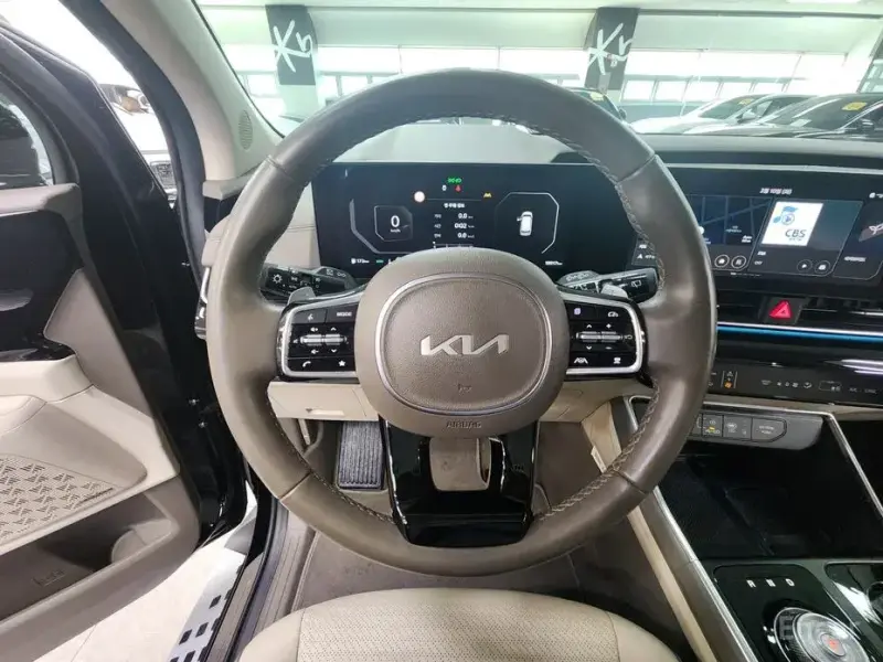 2024 Kia Carnival с пробегом 18 915 км