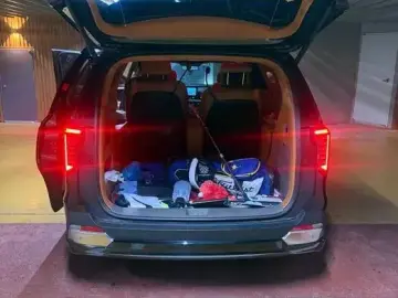 2024 Kia Carnival с пробегом 15 500 км
