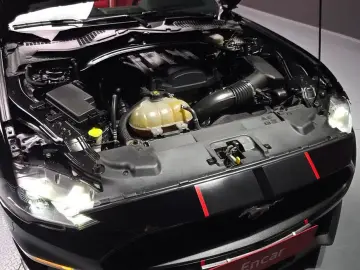 2019 Ford Mustang с пробегом 117 560 км