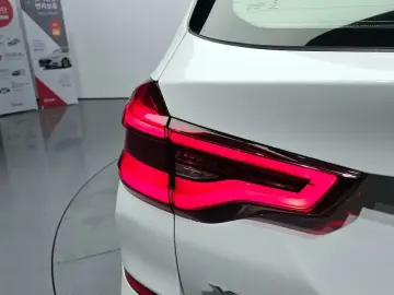 2021 BMW X3 с пробегом 77 161 км