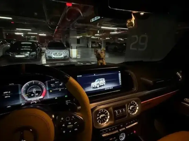 2021 Mercedes-Benz G-Класс с пробегом 30 000 км