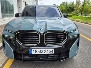BMW XM