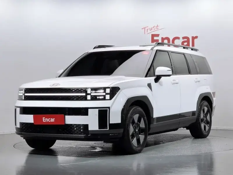 2024 Hyundai Santa Fe с пробегом 31 309 км