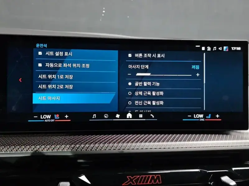 2025 BMW XM с пробегом 5 317 км