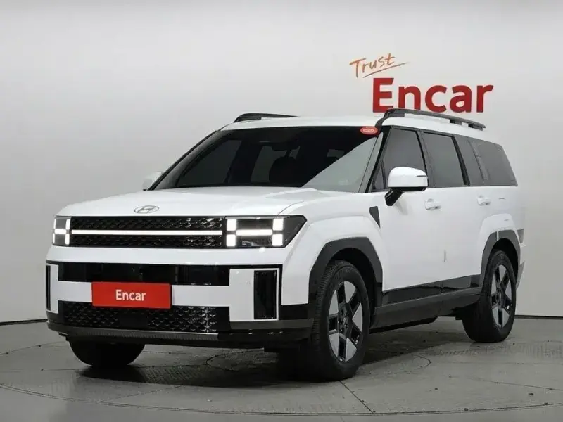 2024 Hyundai Santa Fe с пробегом 30 196 км