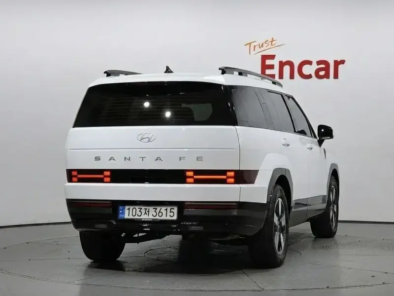 2024 Hyundai Santa Fe с пробегом 30 196 км