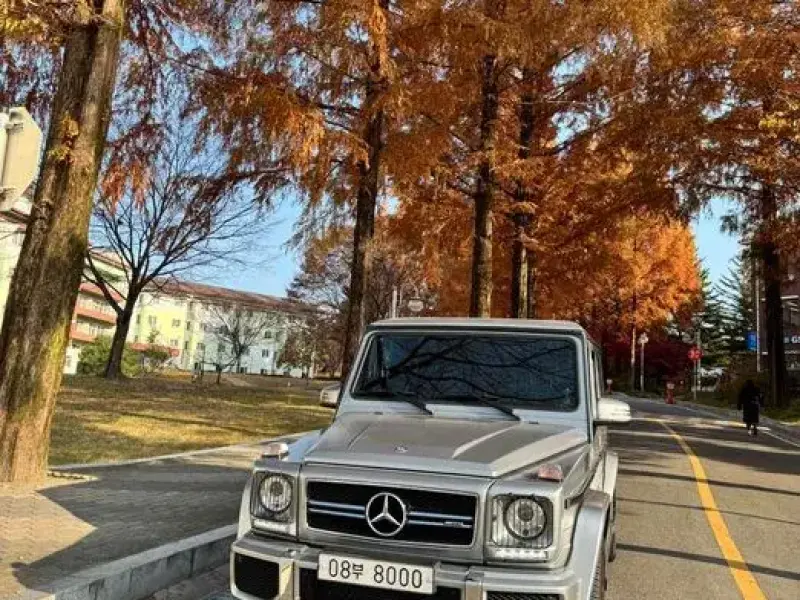 2016 Mercedes-Benz G-Класс с пробегом 72 237 км