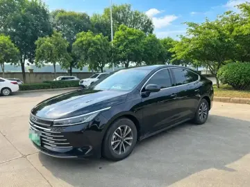 BYD Chazor
