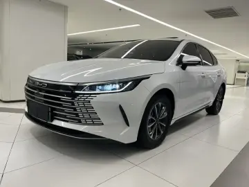 BYD Chazor