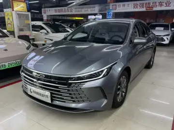 BYD Chazor