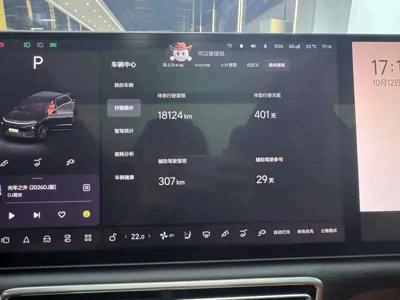 2025 Li Auto (Lixiang) L6 с пробегом 18 000 км
