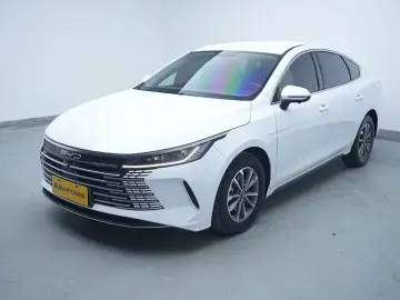 BYD Chazor