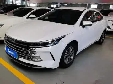 BYD Chazor