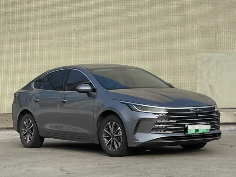 2024 BYD Chazor с пробегом 160 000 км