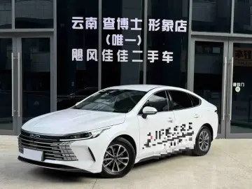 BYD Chazor