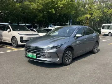 BYD Chazor