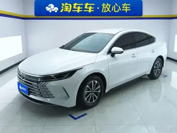 BYD Chazor