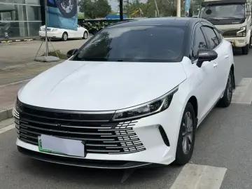 BYD Chazor