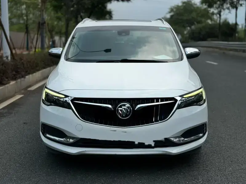 2018 Buick GL6 с пробегом 96 000 км
