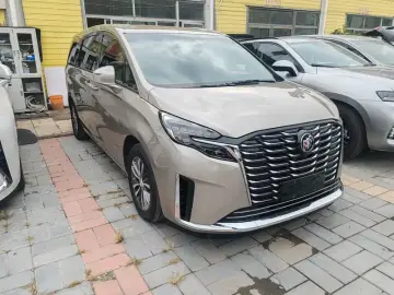 2023 Buick GL8 с пробегом 110 000 км