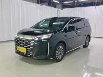 BYD Xia (M9)