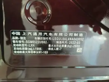 2022 Buick GL8 с пробегом 55 000 км
