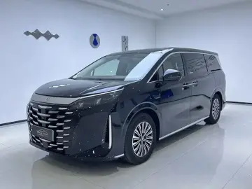 BYD Xia (M9)