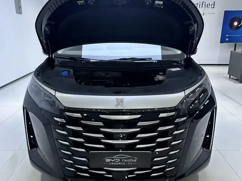 2025 BYD Xia (M9) с пробегом 5 800 км