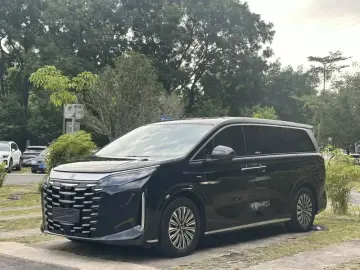 BYD Xia (M9)
