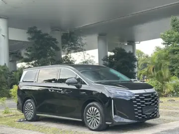 2025 BYD Xia (M9) с пробегом 8 000 км