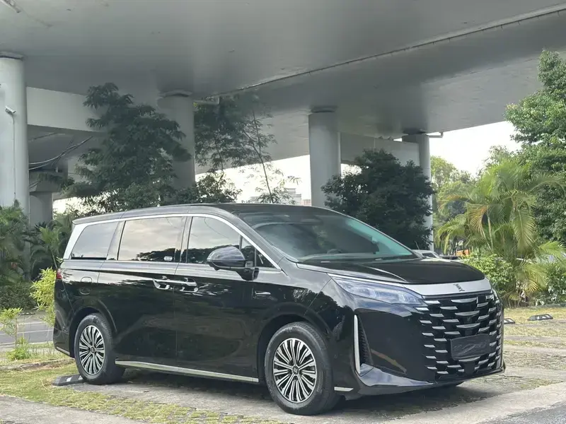 2025 BYD Xia (M9) с пробегом 8 000 км