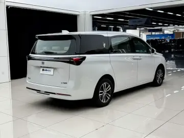 2025 Buick GL8 с пробегом 13 000 км