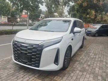 BYD Xia (M9)