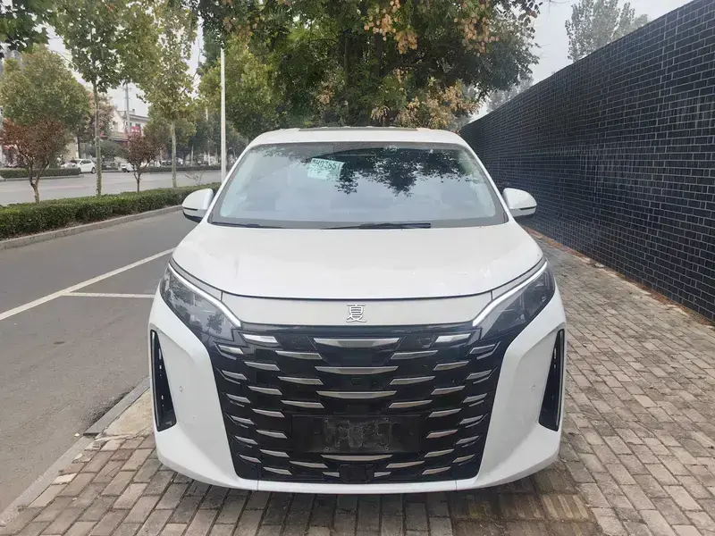 2025 BYD Xia (M9) с пробегом 25 000 км