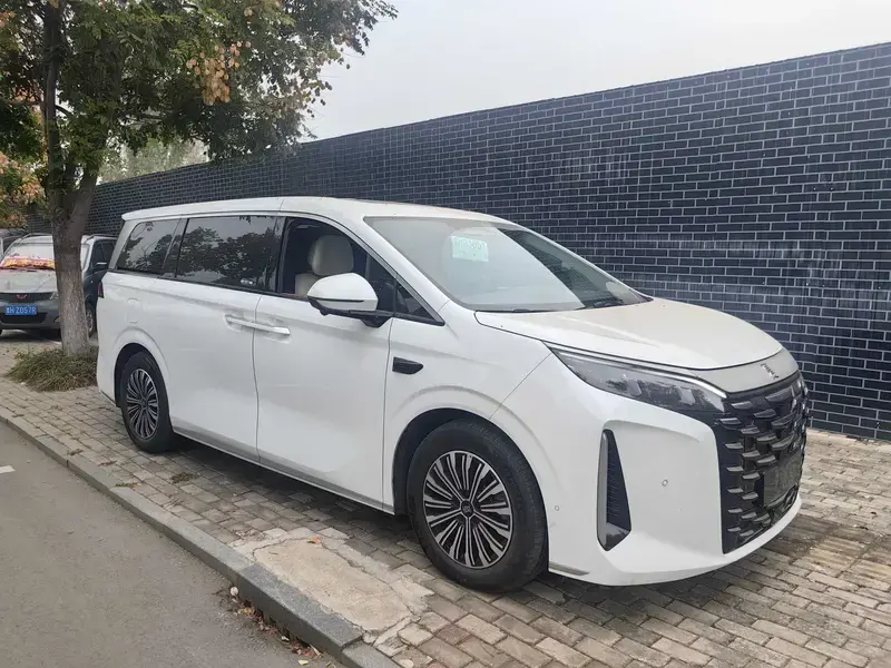 2025 BYD Xia (M9) с пробегом 25 000 км