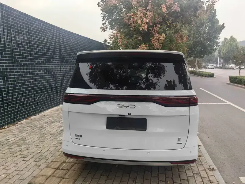 2025 BYD Xia (M9) с пробегом 25 000 км