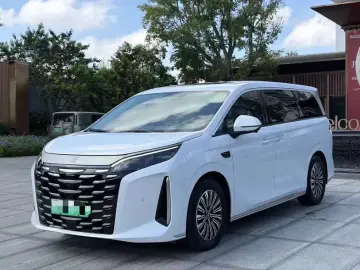BYD Xia (M9)