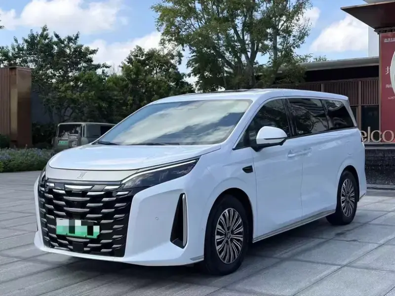 2025 BYD Xia (M9) с пробегом 16 000 км