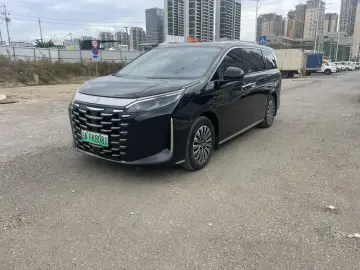 BYD Xia (M9)