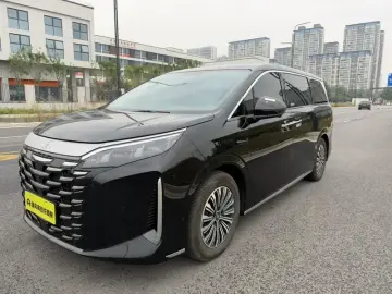 BYD Xia (M9)
