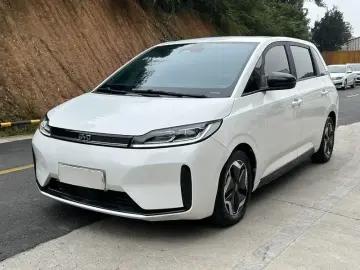 BYD D1