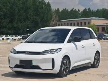BYD D1