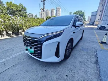 BYD Xia (M9)