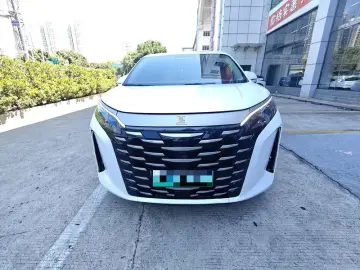 2025 BYD Xia (M9) с пробегом 34 900 км